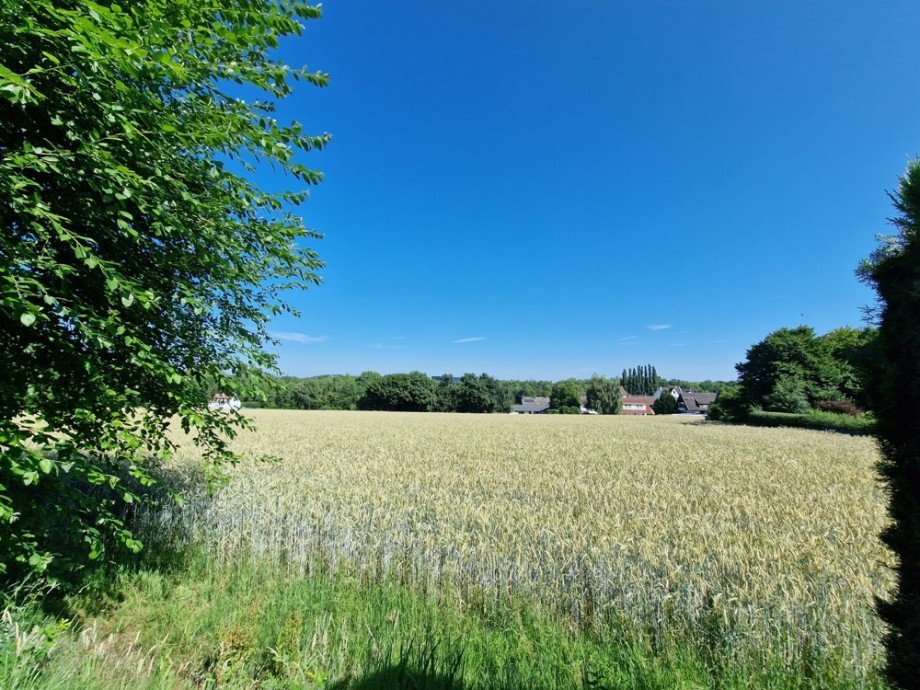 Aussicht vom Gemeinschaftsgarten Zweifamilienhaus Herne
