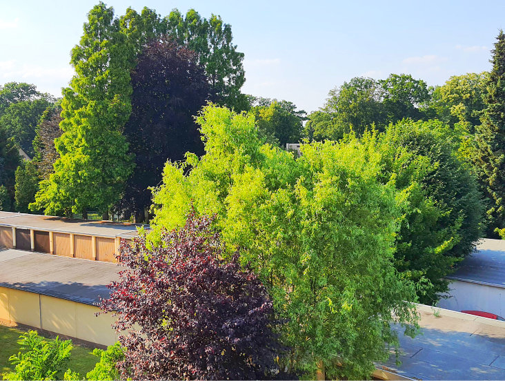 Blick v.Balkon Etagenwohnung Herne / Sodingen