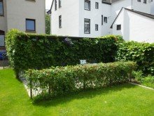 Garten (Sommer) Jugendstilhaus mit Gartenidylle in Wanne-S�d - ideal f�r Selbstnutzer und Mehrgenerationenwohnen
